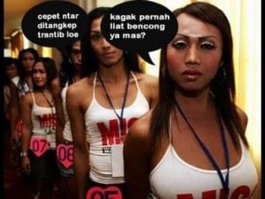 Dp bbm meme banci paling gokil
