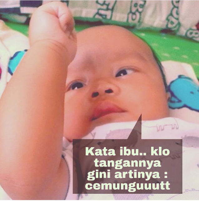 meme-bayi-menggemaskan