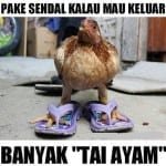 Puluhan Meme Paling Gokil Terbaru, Bikin Ngakak Lihatnya