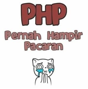 plesetan-php-lucu